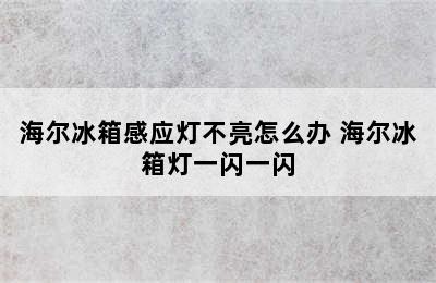 海尔冰箱感应灯不亮怎么办 海尔冰箱灯一闪一闪